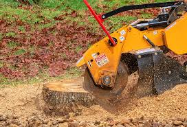 Lawn Drainage Solutions in Baileys Crossroads, VA